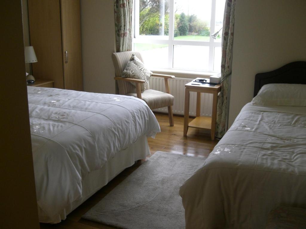 Ashley Lodge Bed & Breakfast Rosslare Harbour Exterior foto